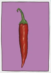 Chilli Purple, 2005